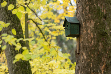 Birdhouse in the park