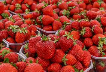 fresh red strawberries, put up for sale on the market.