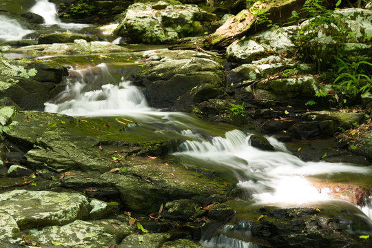 Terania Creek, Nightcap National Park