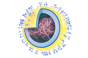 Influenza Virus, 3D rendering, 3D rendering