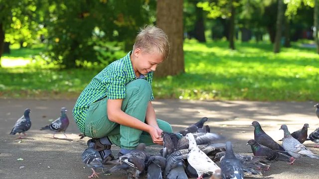 Cute funny happy caucasian child of ten years old feeding group of many city doves in green summer or fall urban park. Real time full hd video footage.