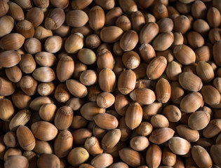  Fresh organic filbert