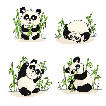 A set of illustrations with a panda cub. Panda sitting, eating, playing. Hand drawing.