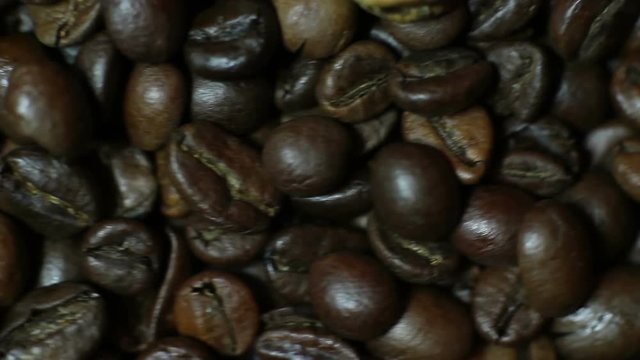 The Coffee Beans