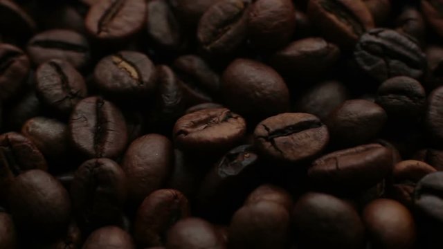The Coffee Beans