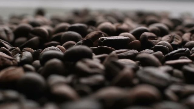 The Coffee Beans