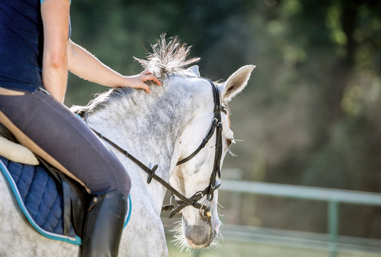 Woman riding a horse on paddock, horsewoman sport wear