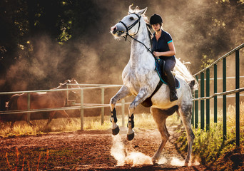 Woman riding a horse in dust, beautiful pose on hind legs