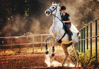 Foto op Canvas Woman riding a horse in dust, beautiful pose on hind legs © leszekglasner