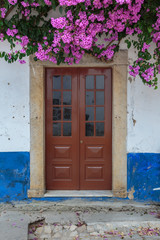 Antique Portuguese Architecture: Old Brown Door near Vegetation in Obidos Main Street - Portugal