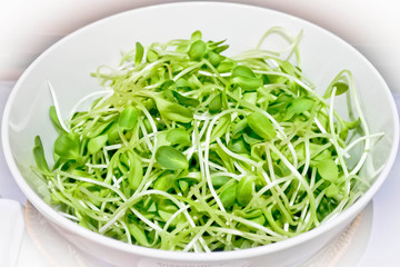Sunflower sprout in white bowl, healthy ingredient for salad dish. High vitamin, mineral and fiber.
