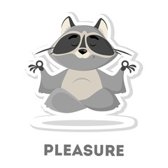 Isolated pleasured raccoon.