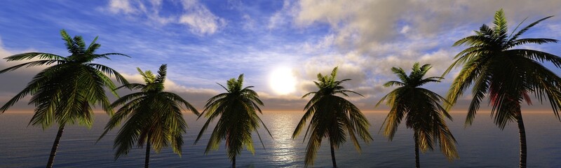 Fototapeta na wymiar coconut palms on sea sunset background, 3d rendering