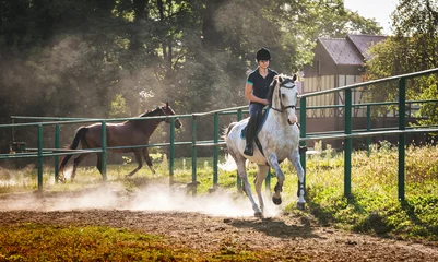 Foto op Plexiglas Woman riding a horse in dust on paddock © leszekglasner