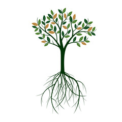 Green Tree with Leaves and Roots. Vector Illustration.