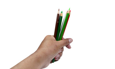 a hand holding  color pencils on white background isolated