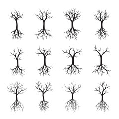 Obraz premium Set of black Trees without Leaves. Vector Illustration.
