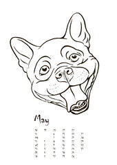 calendar with portraits of dogs