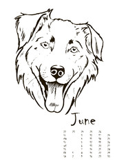calendar with portraits of dogs