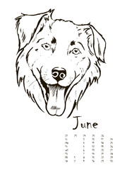 calendar with portraits of dogs