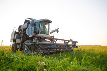Fototapeta premium Image of combine harvester in field