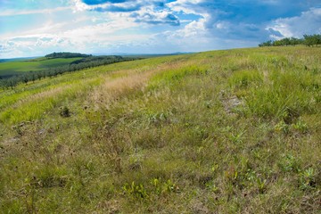 Fototapeta na wymiar green czech landscape with fields