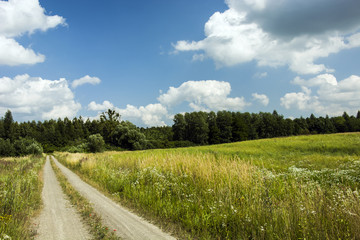 A simple and long way through the meadows into the forest