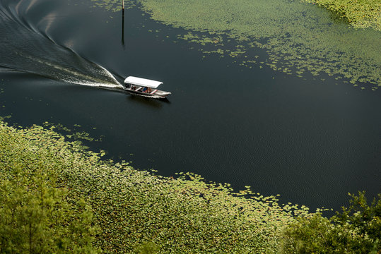 Boat on Lake Scutari, Rijeka Crnojevica, Montenegro,