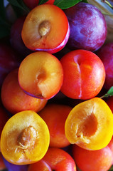  closeup of sloes and plums on the table