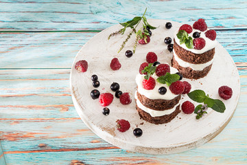 Chocolate cake decorated with raspberry, black currant, wipped cream and mint.