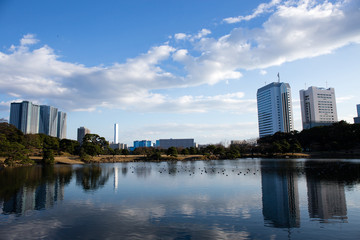 Fototapeta premium city