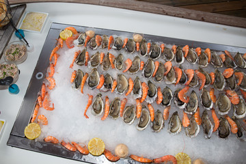 Oyster and shrimps on ice in buffet line at hotel