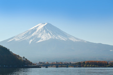 Fuji Mountain with momiji or maple leaves in autumn with blue sky at Lake kawaguchiko in japan.