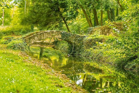 Green park with a beautiful river and bridge in autumn