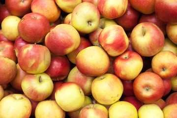 Apples background background texture seasoning Apples for sale