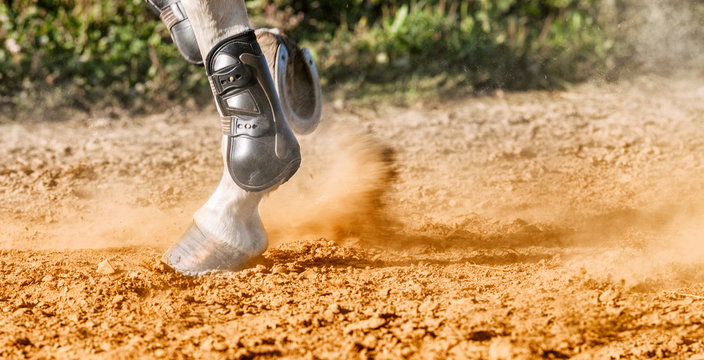 Horse hooves in sand dust close up