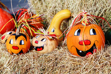 Pumpkins and gourds