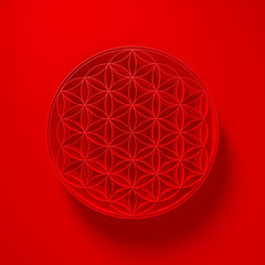 3D Illustration - Flower of Life Sign with light above on red background