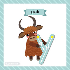 Letter Y lowercase cute children colorful zoo and animals ABC alphabet tracing flashcard of Yak standing on two legs for kids learning English vocabulary and handwriting vector illustration.