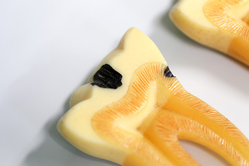 Tooth model for education in laboratory.