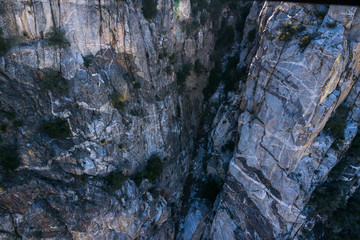 San Jacinto Mountain, Riverside County, California, USA