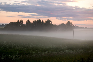 Fototapeta premium Sunset fog