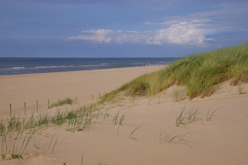 Sandstrand mit Meerblick aus der Düne mit Dünengras im Wind