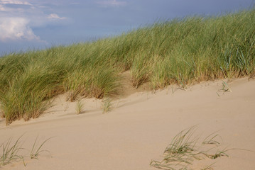 Düne mit Dünengras im Wind