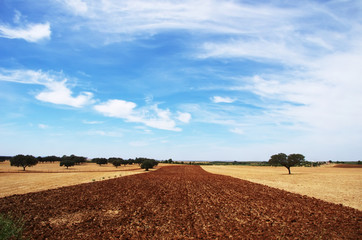 plowed field at Alentejo region, south of Portugal