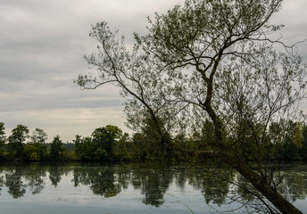 Осень в России - живописный пейзаж на берегу реки
