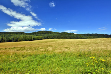 Rural landscape in countryside of Beskid Niski, Poland - obrazy, fototapety, plakaty