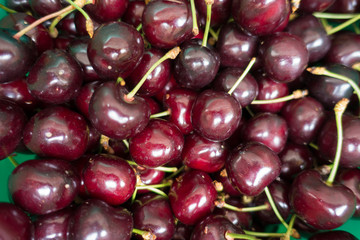 Close view of red ripe sweet cherries