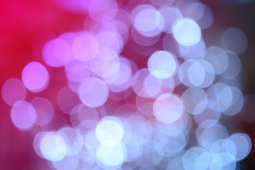 light bulb from the garden  in christmas and newyear festival