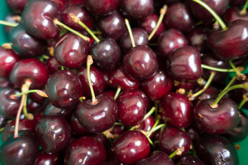 Plenty of fresh purple ripe sweet cherries